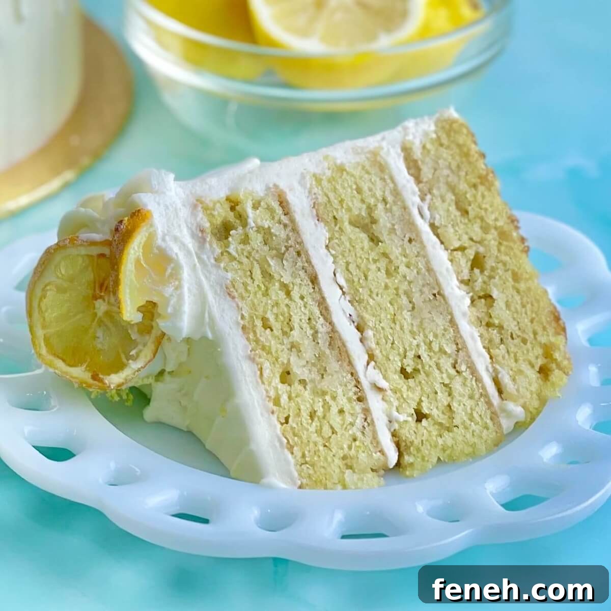 featured 64844