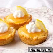 sugar free lemon supreme mini tarts.