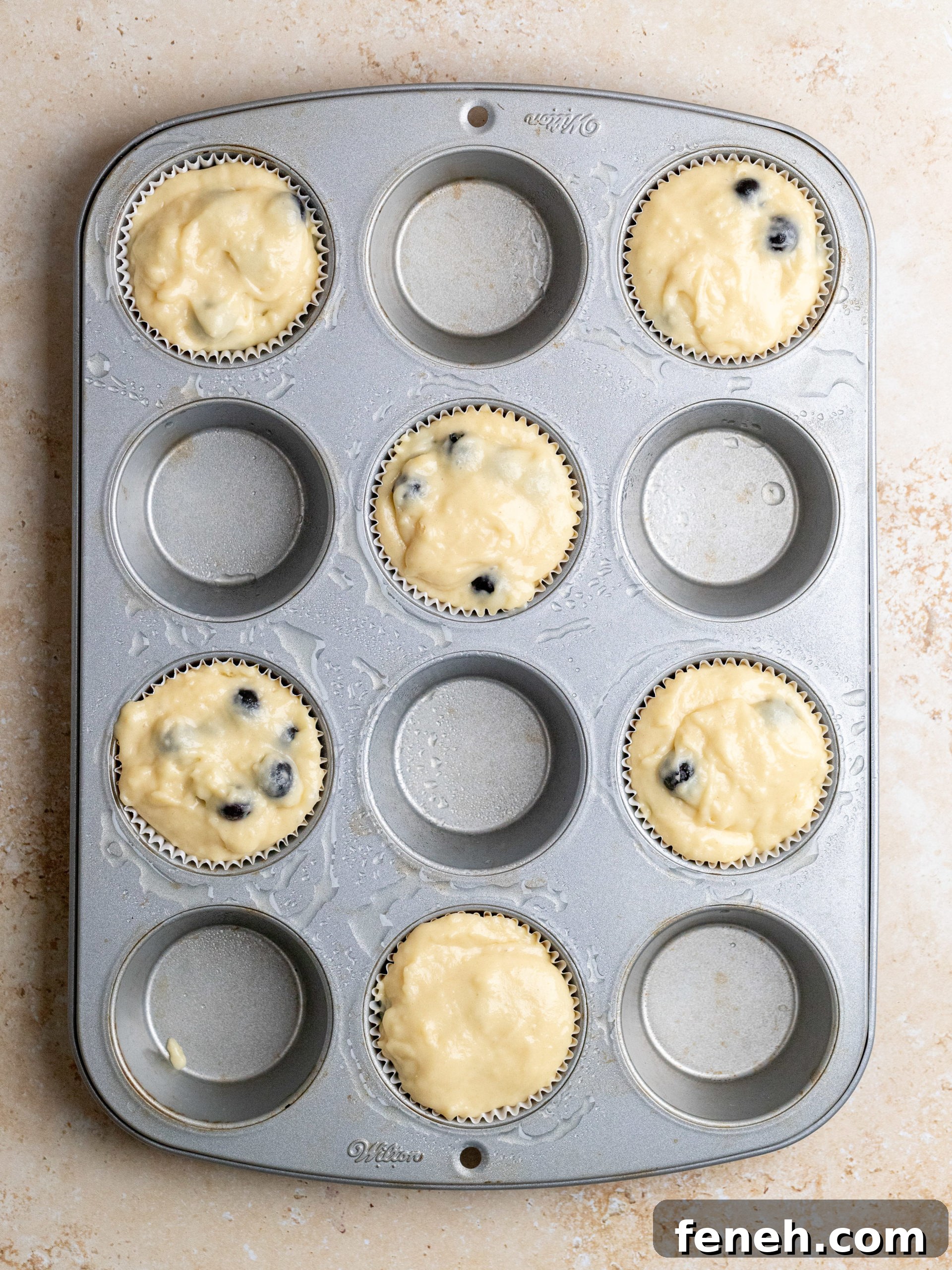 Baked blueberry muffins