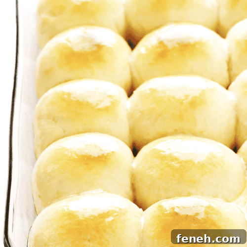 Simple and delicious dinner rolls