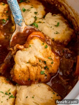Hearty Beef Stew with Fluffy Dumplings Recipe 10 Some beef stew and a dumpling being scooped from a crockpot.