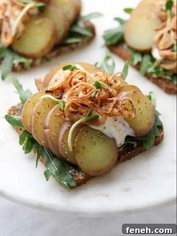 An open sandwich with lettuce, potato slices, crispy shallots and creamy sauce on a plate