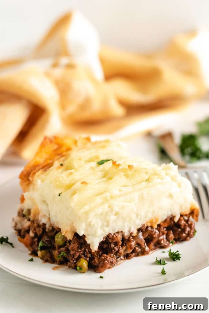 Shepherd's pie with toasted mashed potatoes on a plate.