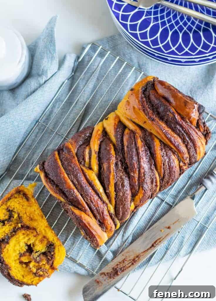overhead shot of pumpkin nutella babka on a cooling rack