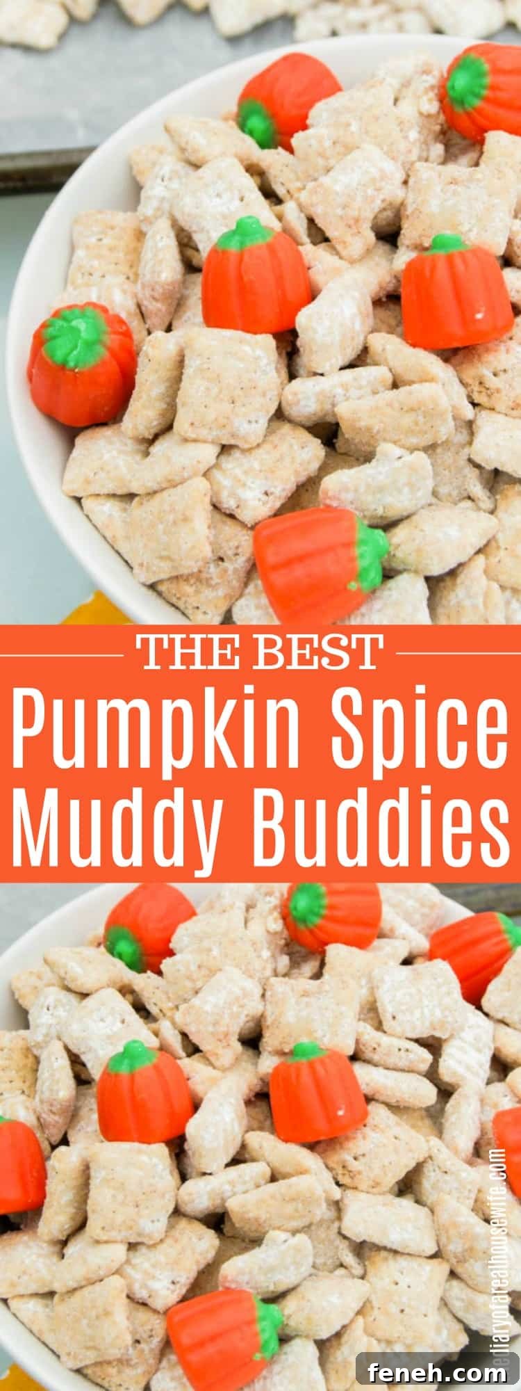 Pumpkin Spice Muddy Buddies: Fall Snack Mix Recipe 2 Pumpkin Spice Muddy Buddies