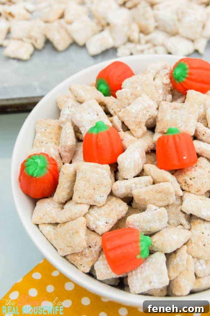 Pumpkin Spice Muddy Buddies: Fall Snack Mix Recipe 3 Pumpkin Spice Muddy Buddies