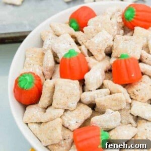 Pumpkin Spice Muddy Buddies