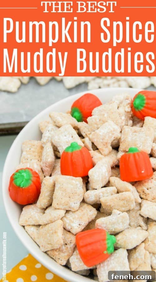 Pumpkin Spice Muddy Buddies: Fall Snack Mix Recipe 8 Pumpkin Spice Muddy Buddies