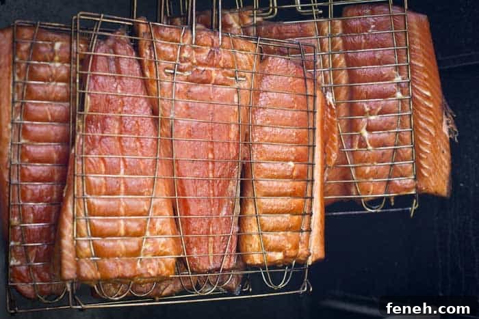 salmon fillets cold smoking in chamber