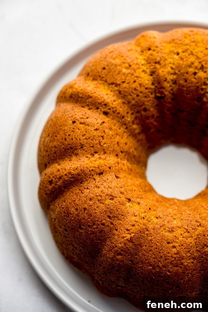 A pumpkin Bundt cake on a plate.