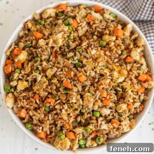 Bowl of fried rice