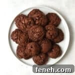 Plate of fudgy brownie cookies.