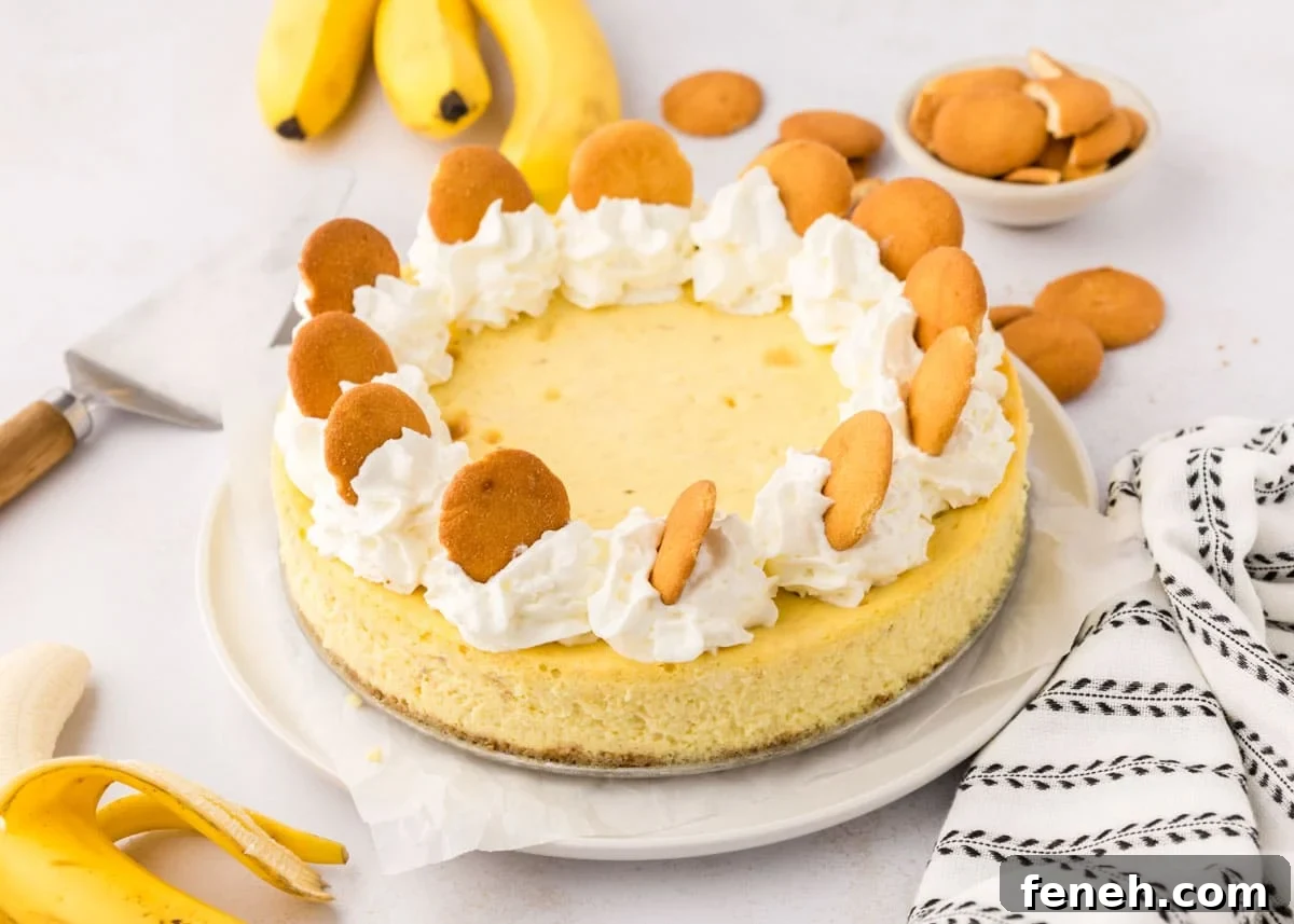 Banana Pudding Cheesecake
