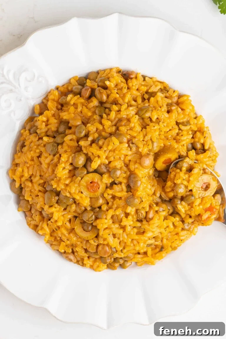 A plate of rice and beans