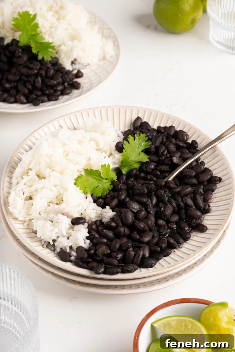 frijoles negros with rice on a plate