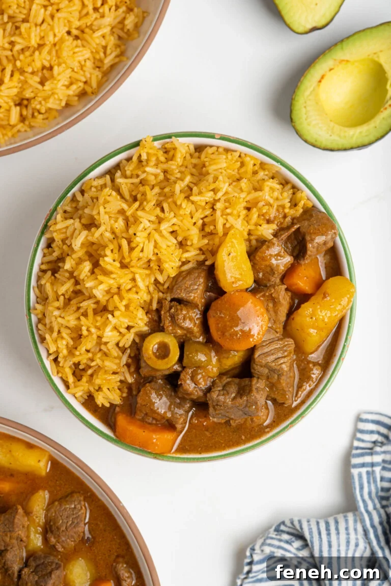 A bowl of Puerto Rican beef stew with rice.