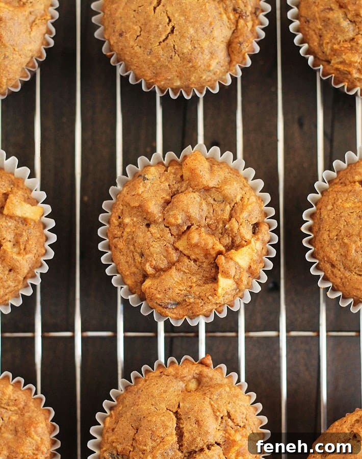 Vegan Gluten Free Morning Glory Muffins @ Delightful Adventures
