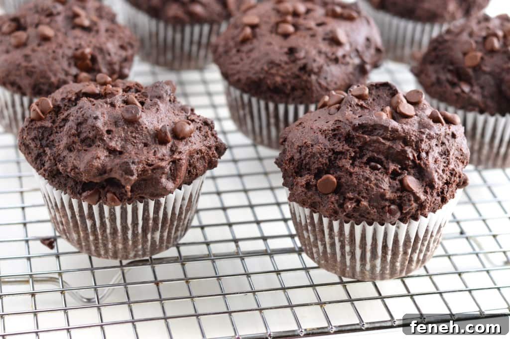 Bakery Style Double Chocolate Chip Muffins @ What the Fork Food Blog