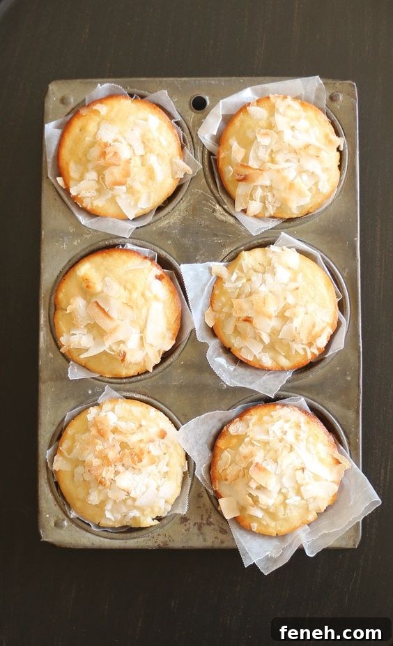 Pineapple Coconut Muffins @ Home to Heather