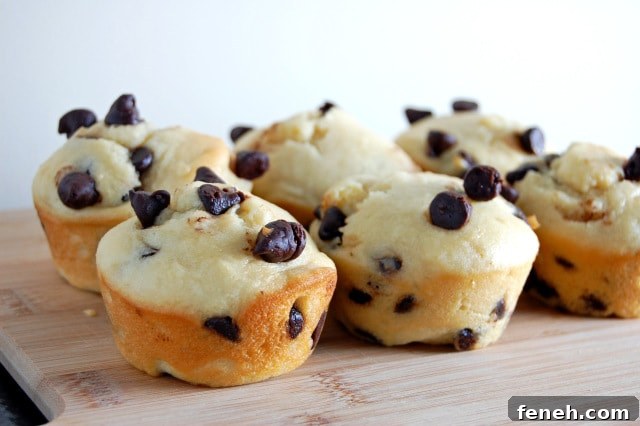 Gluten Free Chocolate Chip Muffins @ Em the Baker