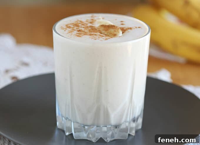 Oatmeal smoothie with cinnamon on top sitting on a dark gray plate.