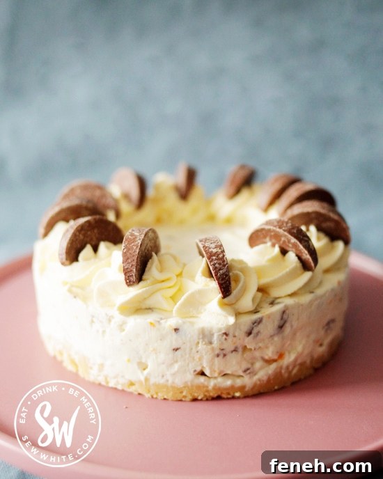 No bake Terry's chocolate orange cheesecake on a pink plate