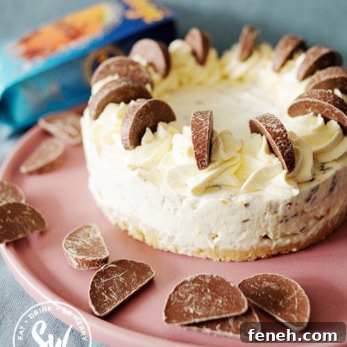 No Bake Terry's Chocolate Orange Cheesecake
