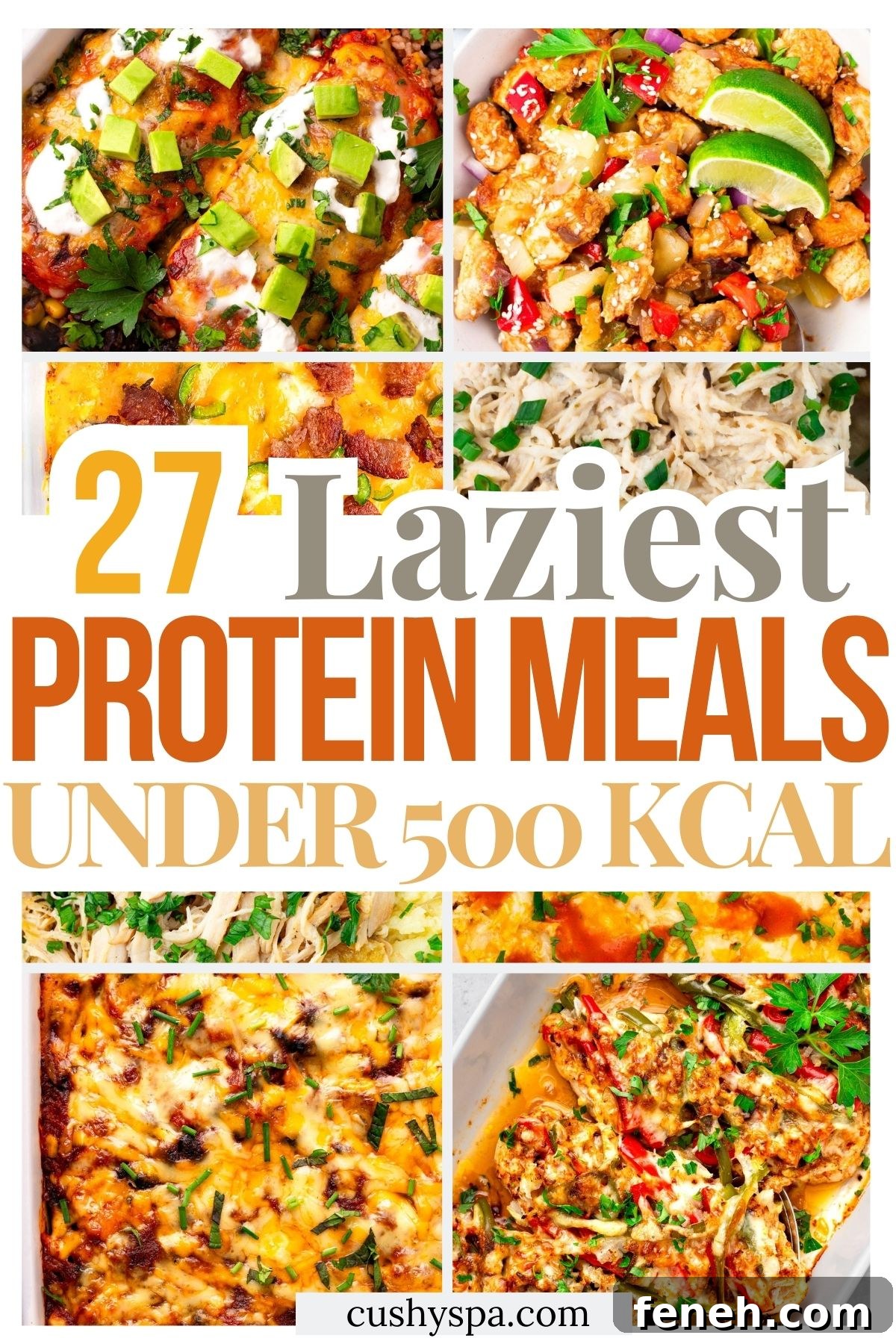 27 Lazy High Protein Meals Under 500 Kcal