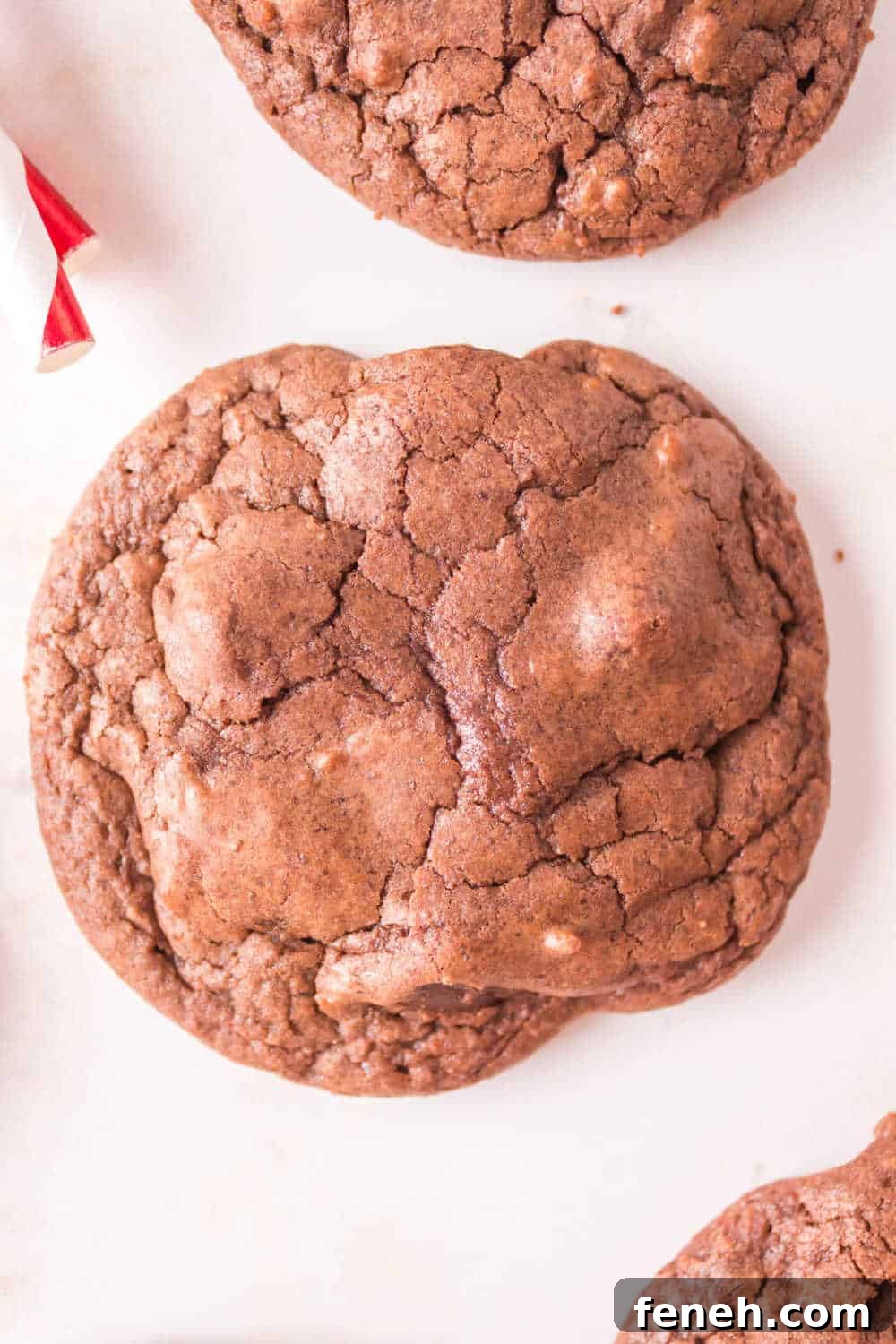 A cookie on a white background.