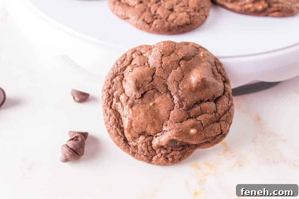 A cookie leaning against a white platter.