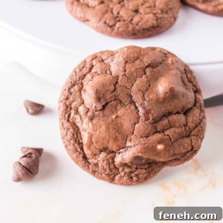 A cookie leaning up against a plate.
