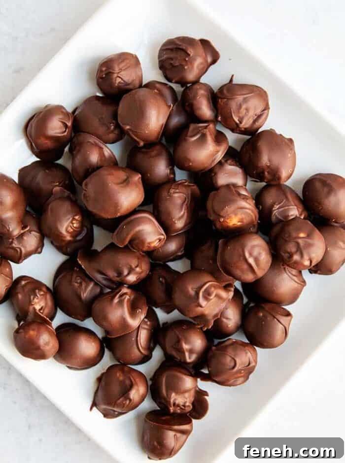 overhead view of white plate of chocolate-covered macadamia nuts