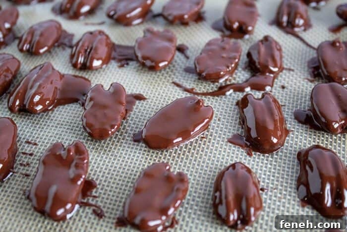 closeup of chocolate covered pecans with several broken in half