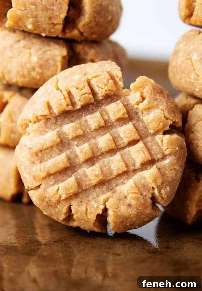 keto desserts under 3g net carbs featuring keto peanut butter cookie
