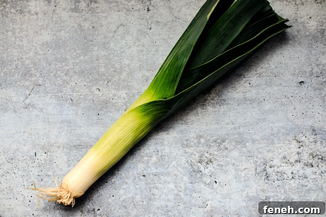 A large leek.