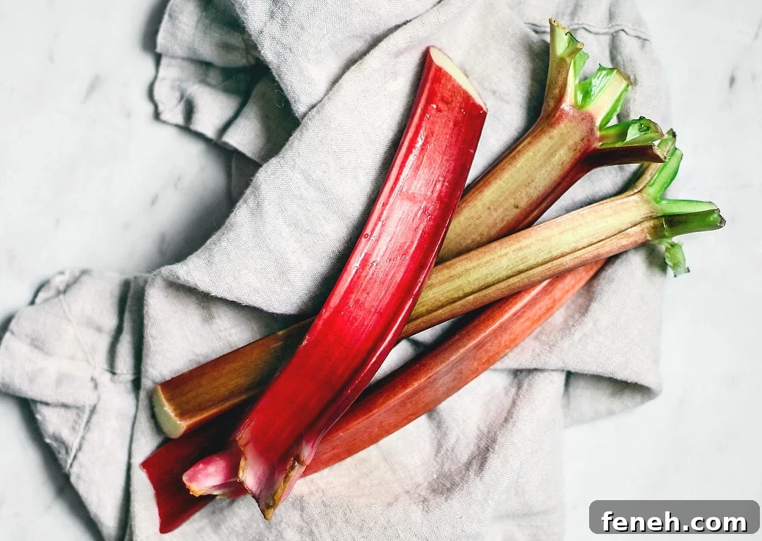 rhubarb