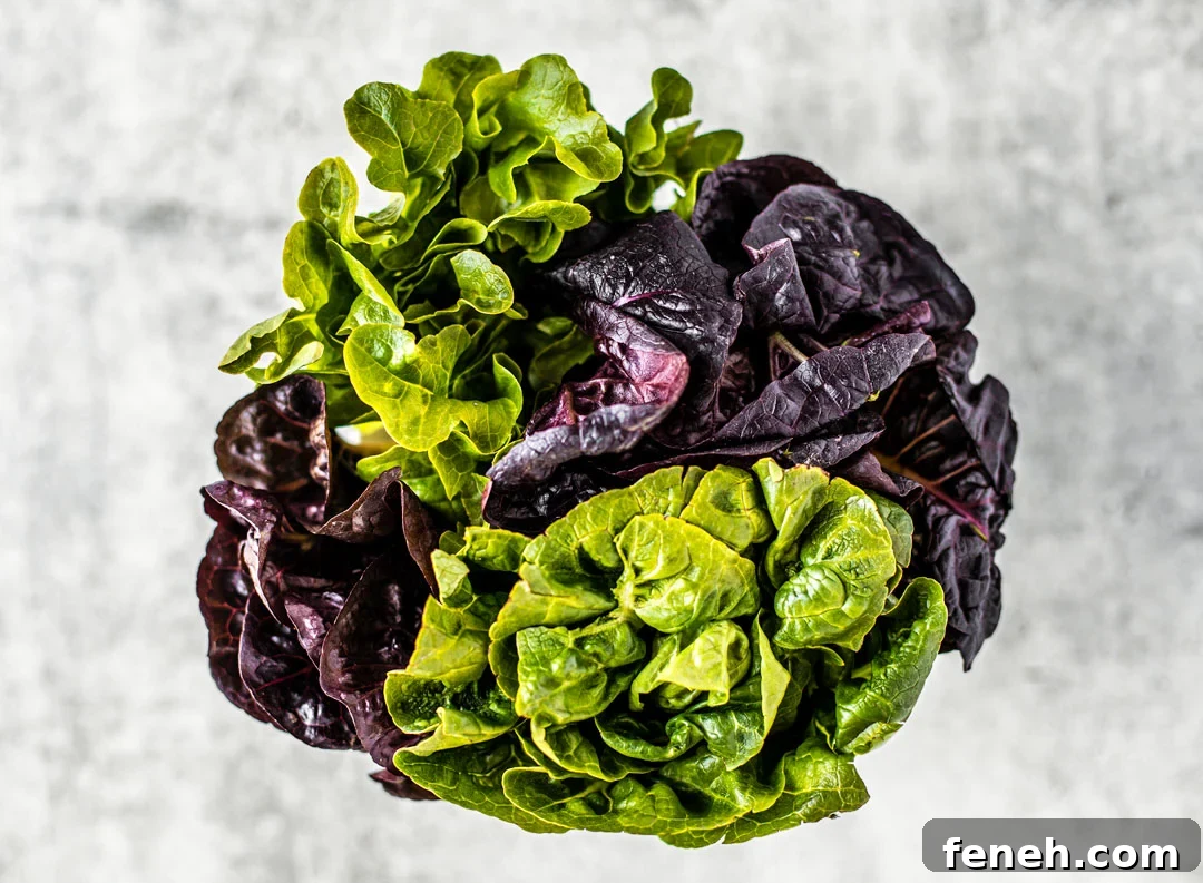 Head of green and purple artisan lettuce.