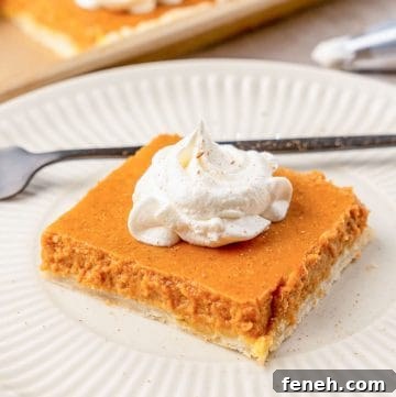 A slice of pumpkin slab pie on a white plate, with whipped cream on top
