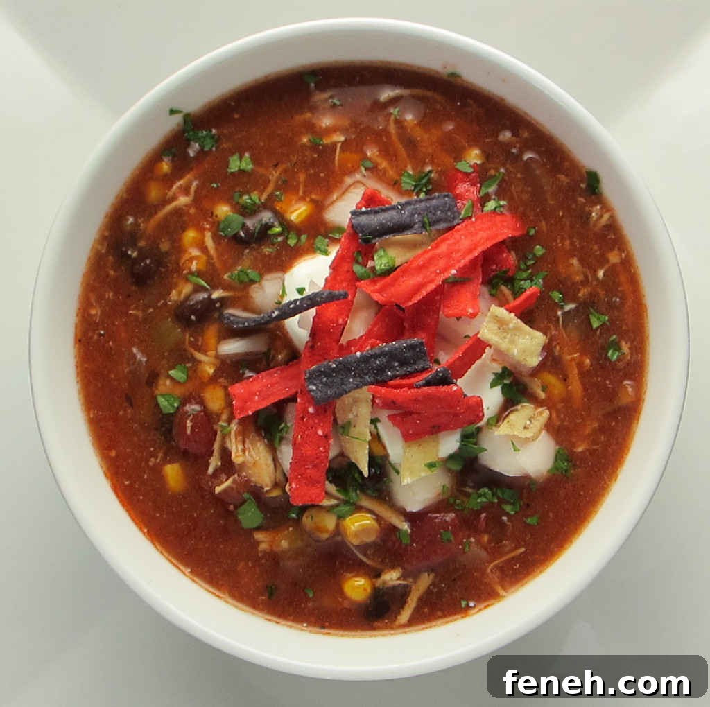 Slow Cooker Chicken Enchilada Soup Recipe 2 Slow Cooker Enchilada Soup