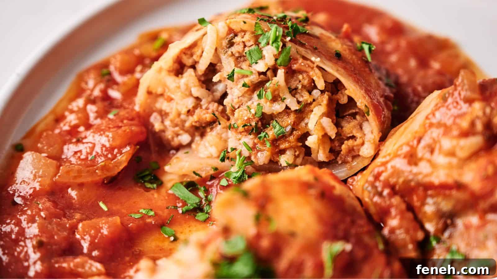 Close-up of stuffed cabbage rolls filled with rice and ground meat, topped with tomato sauce and garnished with chopped herbs.