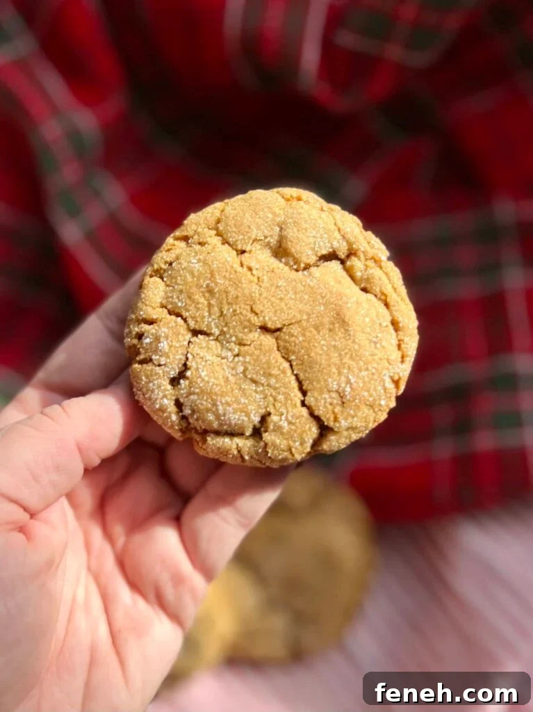 A ginger molasses cookie being held by a hand.