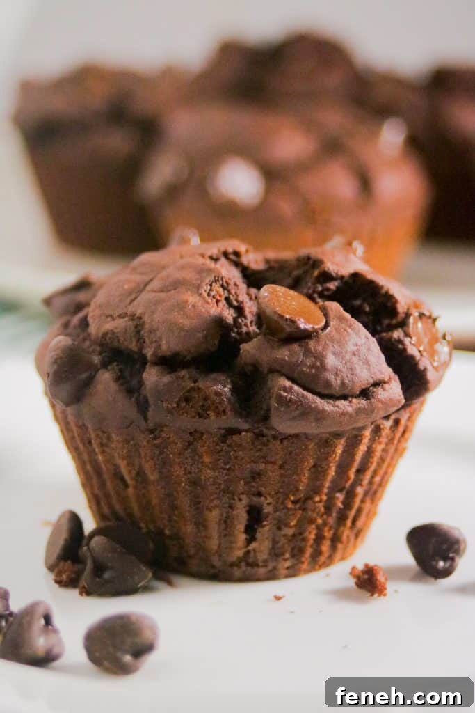 Healthy double chocolate blender muffins recipe with pumpkin or banana
