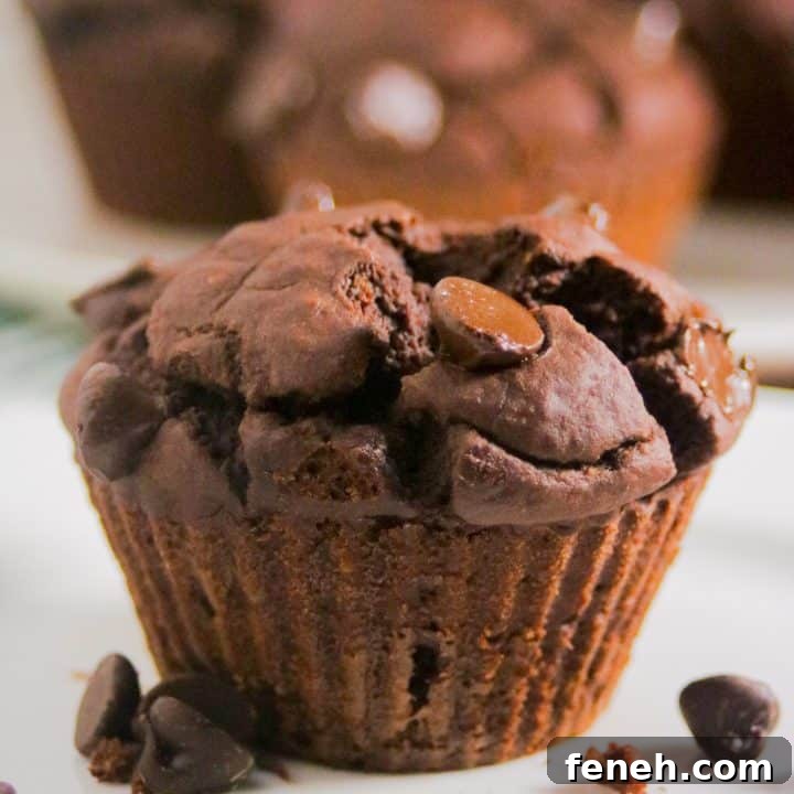 gluten free fudgy double chocolate blender muffins