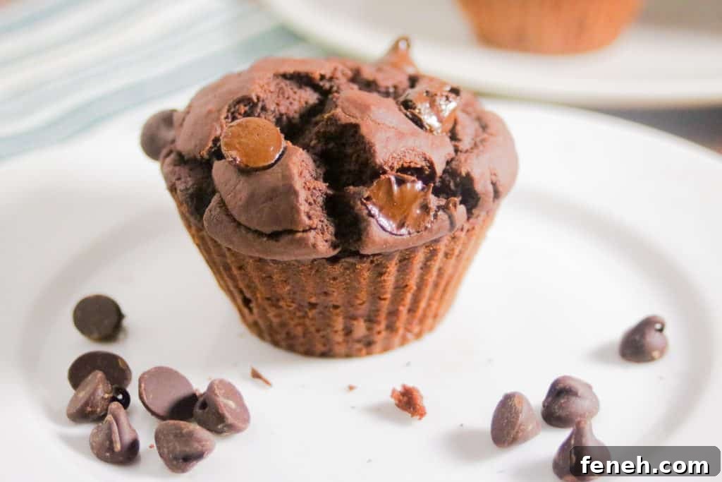 Gluten Free Fudgy double chocolate Blender Muffins recipe