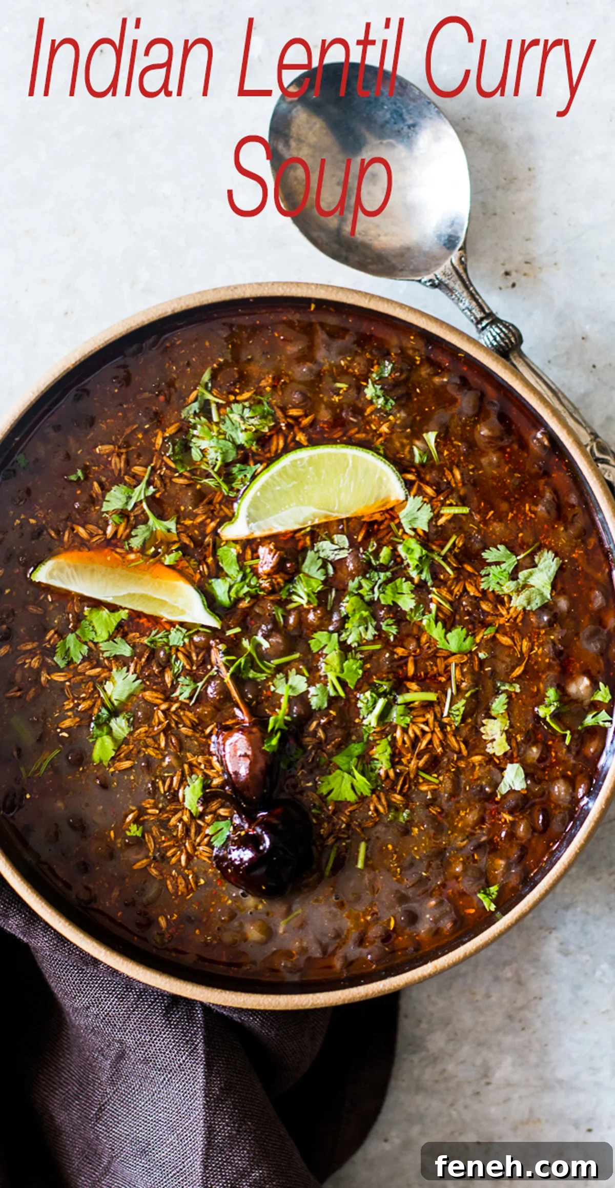 black lentil soup with cilantro and lime