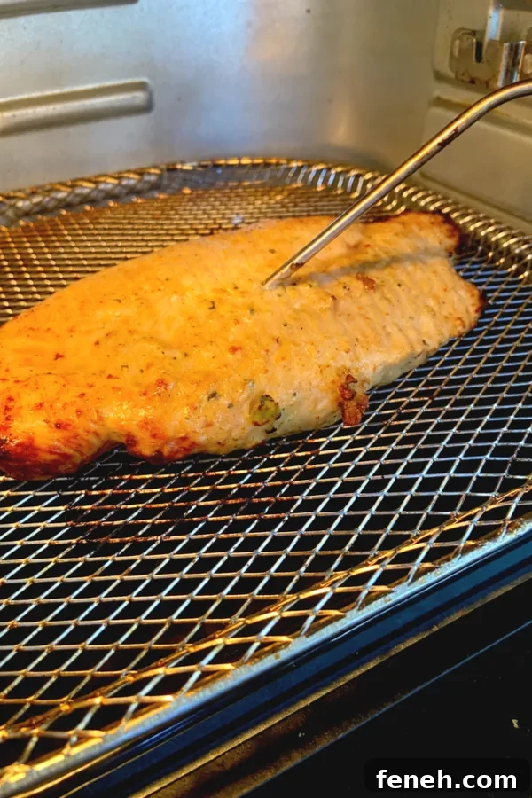 checking internal temperature of meat with digital thermometer 