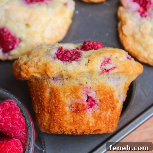 Lemon Raspberry Muffins