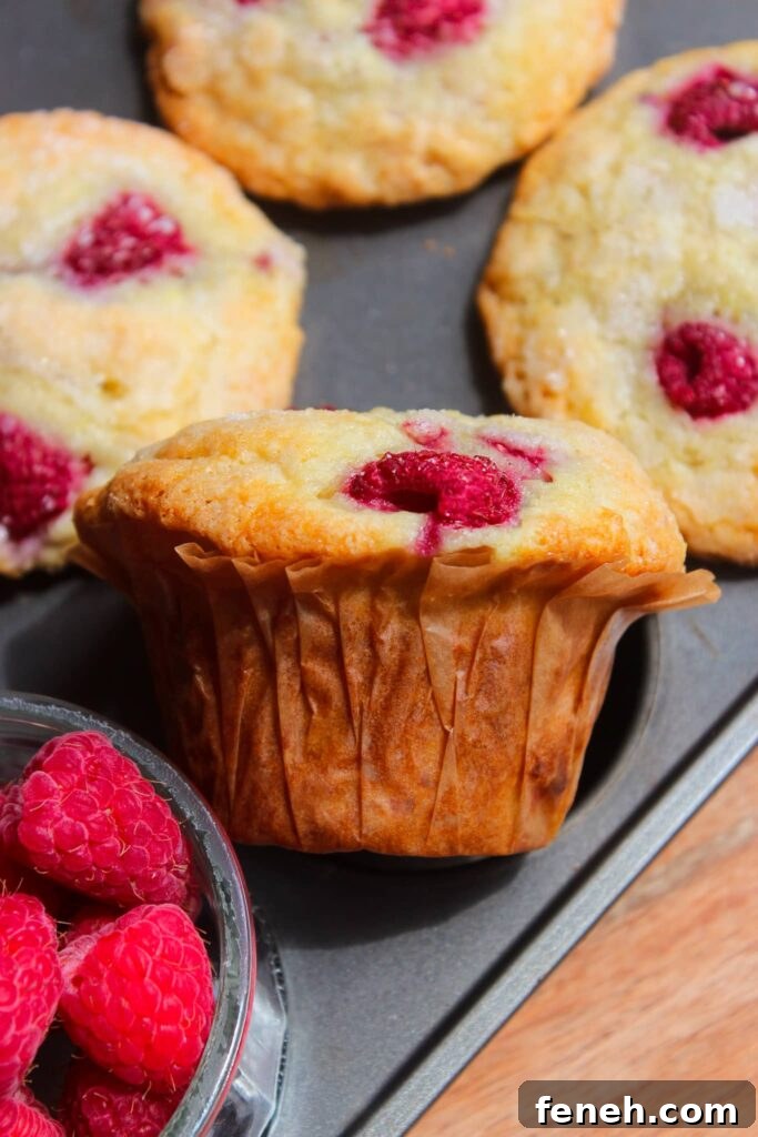 Fresh baked muffins