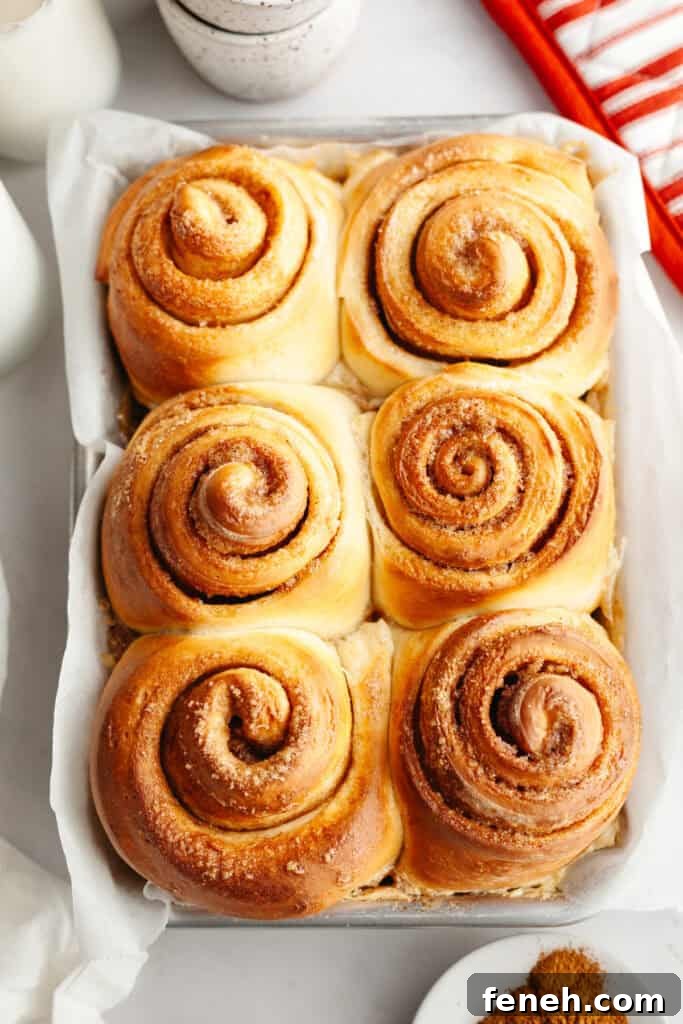 Six cinnamon buns in a small pan.