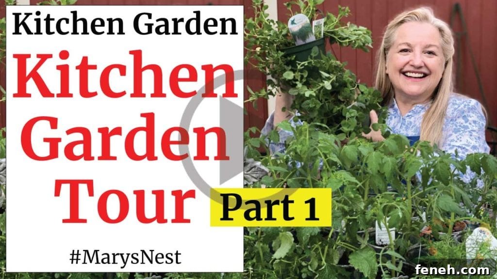 Kitchen garden ideas